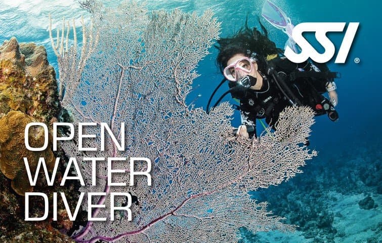 Open Water Course