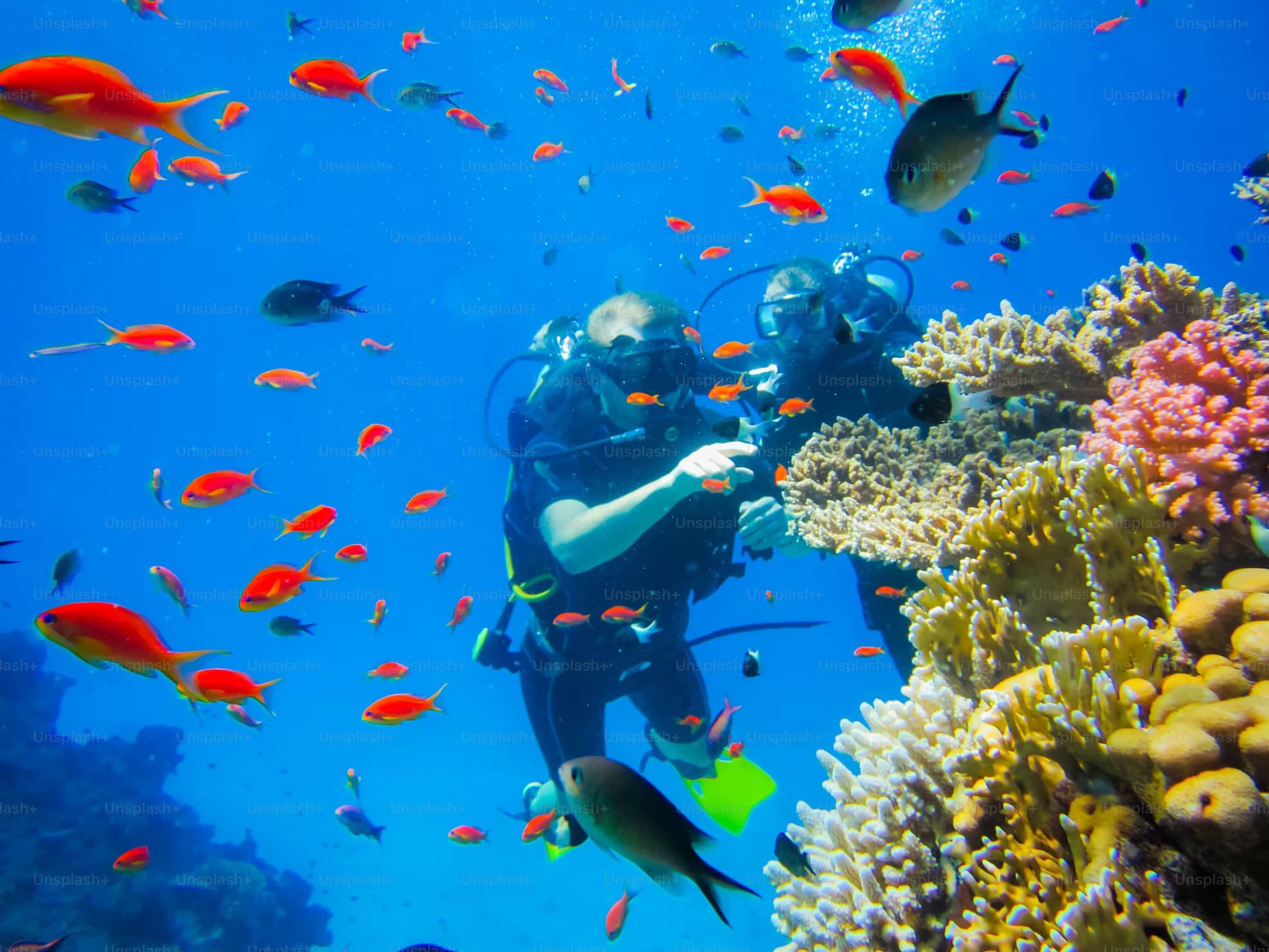 3 Fun Dive Trip